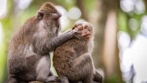 肘を温めることで得られる健康効果は？