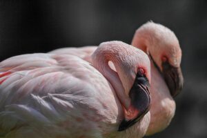 内側上顆部分切除はどんな手術で、どのような効果が期待できる？